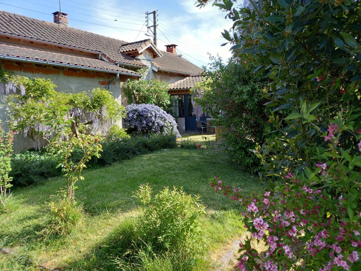 La Maison Molieres Montauban Exterior photo