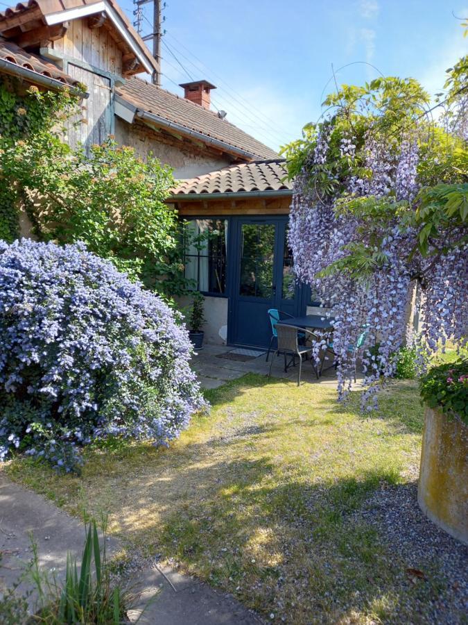 La Maison Molieres Montauban Exterior photo